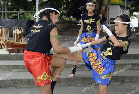 Kinder bei einer traditionellen Thai Box Show im Santichaiprakan Park am Mae Nam Chao Phraya in der Hauptstadt Bangkok von Thailand in Suedostasien.