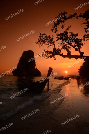 The Hat Phra Nang Beach at Railay near Ao Nang outside of the City of Krabi on the Andaman Sea in the south of Thailand. 