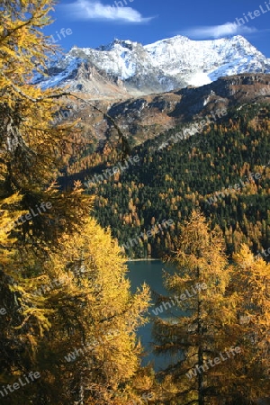 Piz Corvatsch