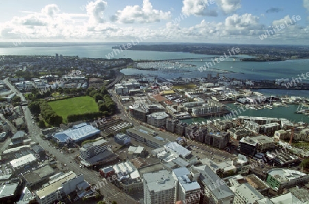 Auckland Bridge