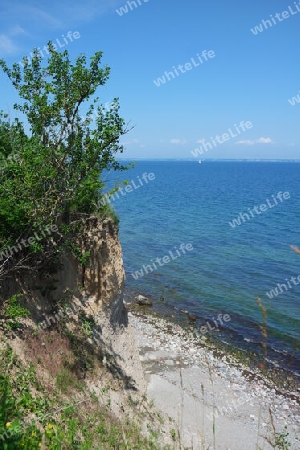 Brodtener Steilufer, Lübecker Bucht,Ostsee