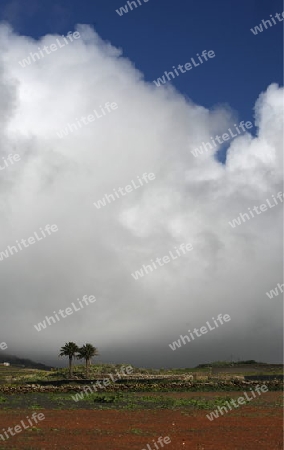 the Landscape on the Island of Lanzarote on the Canary Islands of Spain in the Atlantic Ocean. on the Island of Lanzarote on the Canary Islands of Spain in the Atlantic Ocean.
