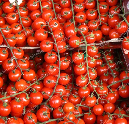 Tomaten