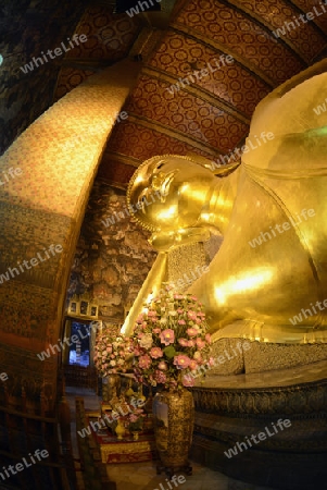 Der Liegende Buddha in der Tempelanlage des Wat Pho in der Hauptstadt Bangkok von Thailand in Suedostasien.