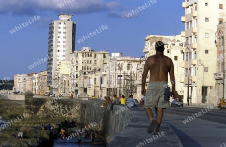 the old town of the city Havana on Cuba in the caribbean sea.