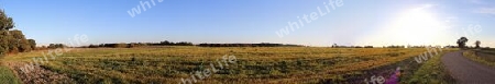 Beautiful high resolution panorama of a northern european country landscape with fields and green grass.