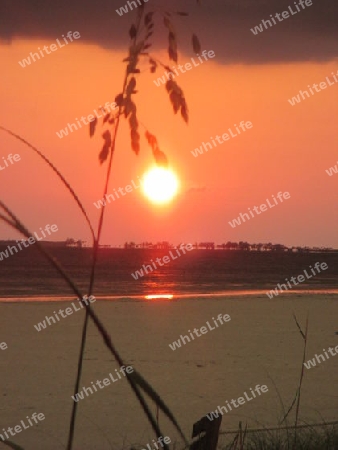 Sonnenuntergang Sunshine State Florida