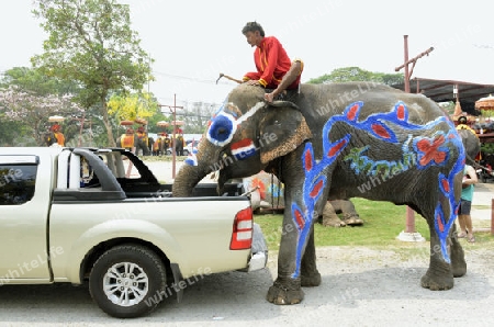 Das Songkran Fest oder Wasserfest zum Thailaendischen Neujahr ist im vollem Gange in Ayutthaya noerdlich von Bangkok in Thailand in Suedostasien.  