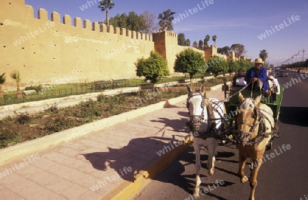 The Old Town near the Djemma del Fna Square in the old town of Marrakesh in Morocco in North Africa.
