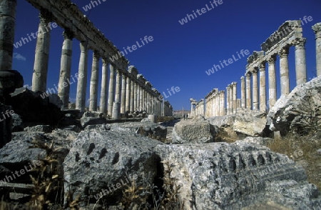 Die Ruinen von Apameia im Nordwesten von Syrien im Mittleren Osten in Arabien.