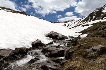 Wildental, Tuxertal, Oesterreich