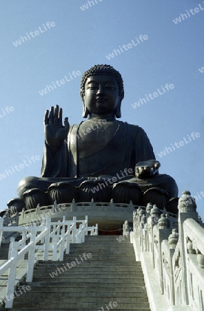 The Giant Buddha on the Island Lantau in Hong Kong in the south of China in Asia.