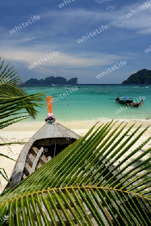 A Beach on the Island of Ko PhiPhi on Ko Phi Phi Island outside of the City of Krabi on the Andaman Sea in the south of Thailand. 