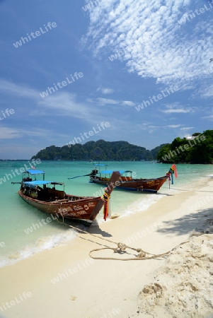 A Beach on the Island of Ko PhiPhi on Ko Phi Phi Island outside of the City of Krabi on the Andaman Sea in the south of Thailand. 