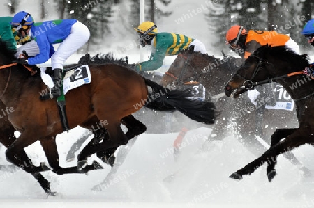 White Turf 2009 St.Moritz