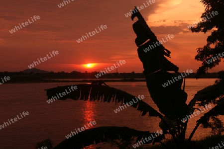 Die Landschaft des Grenzfluss Mekong River in Stadt Savannahet in zentral Laos an der Grenze zu Thailand in Suedostasien.