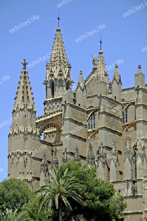 Kathedrale La Seu, Mallorca