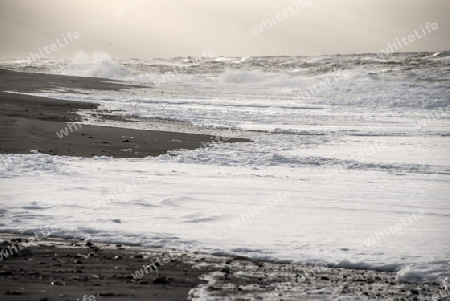 Beach in Denmark