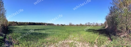 Beautiful high resolution panorama of a northern european country landscape with fields and green grass.