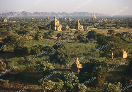 bagan