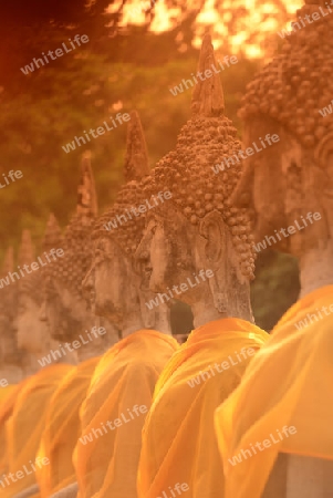 The Wat Yai Chai Mongkol Temple in City of Ayutthaya in the north of Bangkok in Thailand, Southeastasia.