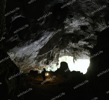 Die Hoehle Cave Pangmapha in der Bergregion von Soppong im norden von Thailand in Suedostasien.