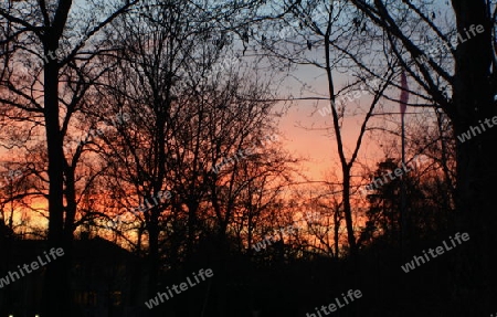 sonnenuntergang im wald