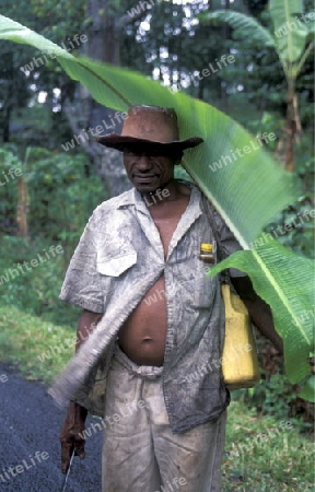 a men in the city of Moutsamudu on the Island of Anjouan on the Comoros Ilands in the Indian Ocean in Africa.   