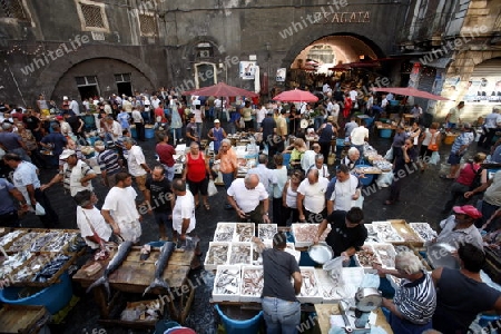 The Fishmarket in the old Town of Catania in Sicily in south Italy in Europe.