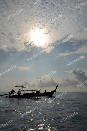 a Boat on the way to Maya Beach  near the Ko Phi Phi Island outside of the City of Krabi on the Andaman Sea in the south of Thailand. 