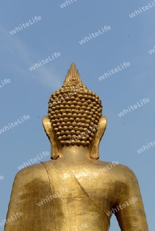 the big Buddha in city centre of Amnath Charoen north of the City of Ubo Ratchathani in the east  of Thailand. 