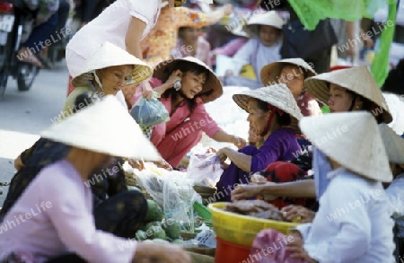 Auf dem Markt in der Stadt Cantho im Mekong Delta im sueden von Vietnam in Suedostasien.  