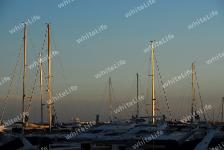 Von der Sonne angestrahlte Segelmasten