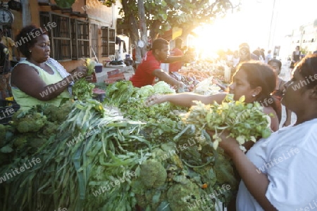 Suedamerika, Karibik, Venezuela, Los Roques,  Der Abendmarkt im Zentrum von Gran Roque auf der Inselgruppe von Los Roques in der Karibik.      Alltag 