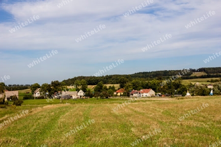 Landwirtschaft