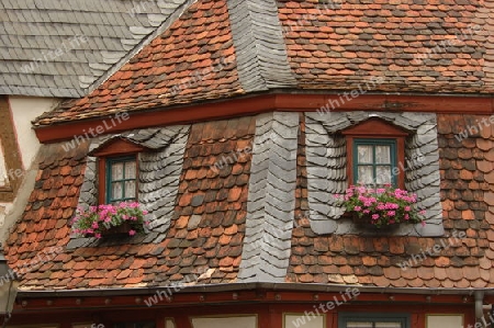 Fenster an Fachwerkhaus in Seligenstadt