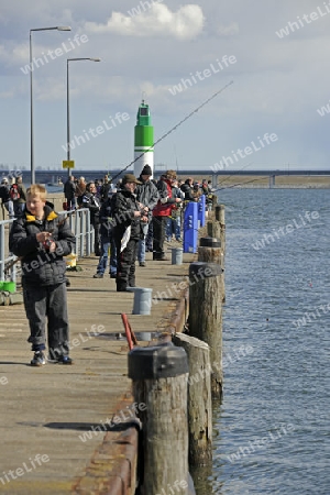 Angler auf der Mole angeln nach Heringen  im alten Hafen von Stralsund ,  Unesco Weltkulturerbe, Mecklenburg Vorpommern, Deutschland, Europa , oeffentlicher Grund