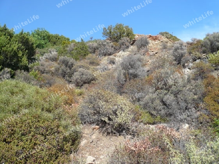 Kiotari, Rhodos, Natur