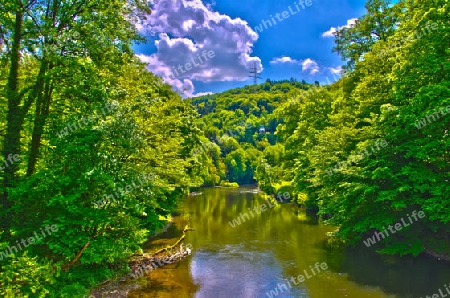 Fluss im Wald