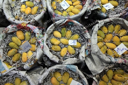 Mangos auf dem Pak Khlong Markt von Bangkok der Hauptstadt von Thailand in Suedostasien.