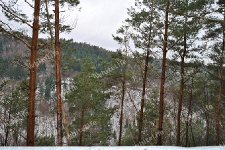 Winterlandschaft