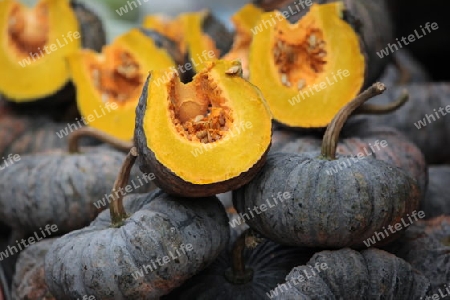 Kuerbis auf dem Markt von Nonthaburi im Norden von Bangkok der Hauptstadt von Thailand in Suedostasien.  