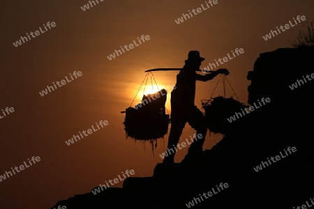 ASIEN, INDONESIEN, BALI, INSEL, NUSA LEMBONGAN, STRAND, LANDSCHAFT, JUNGUTBATU, SEEGRAS, PLANTAGE, EXPORT, ERNTE, MEER, SONNENUNTERGANG, ABEND, STIMMUNG,      (URS FLUEELER)