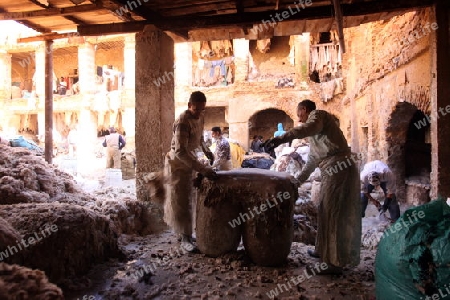 The Leather production in the old City in the historical Town of Fes in Morocco in north Africa.