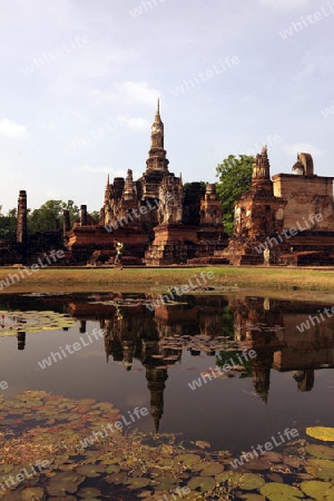 Der Wat Mahathat Tempel in der Tempelanlage von Alt-Sukhothai in der Provinz Sukhothai im Norden von Thailand in Suedostasien.