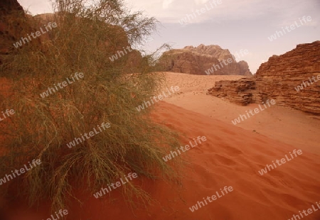 The Landscape of the Wadi Rum Desert in Jordan in the middle east.