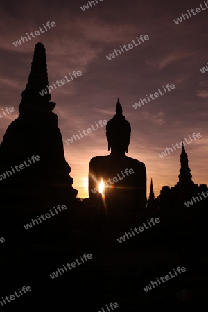 Eine Buddha Figur  im Wat Mahathat Tempel in der Tempelanlage von Alt-Sukhothai in der Provinz Sukhothai im Norden von Thailand in Suedostasien.