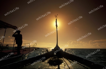 
Auf einem Dhoni Segelschiff  in der Inselwelt  im Northmale  Atoll auf den Inseln der Malediven im Indischen Ozean.   