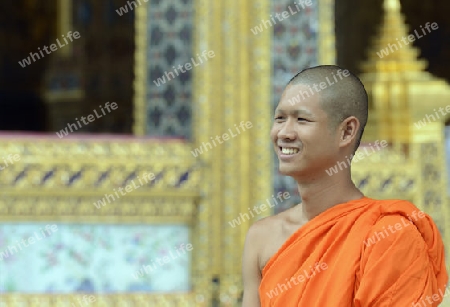 Ein Moench in der Tempelanlage des Wat Phra Kaew in der Hauptstadt Bangkok von Thailand in Suedostasien.