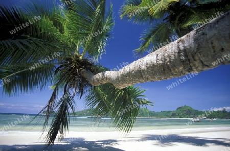 Ein Traumstrand auf der Insel Praslin der Inselgruppe Seychellen im Indischen Ozean in Afrika.